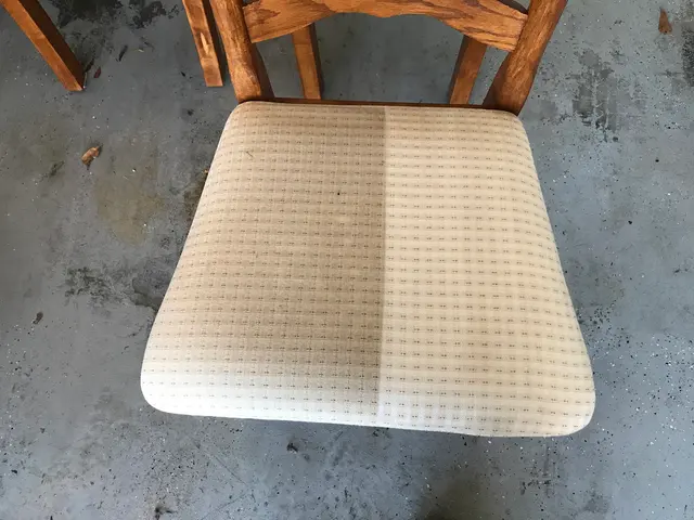 ServicePro Carpet Cleaning — photo from the business 6