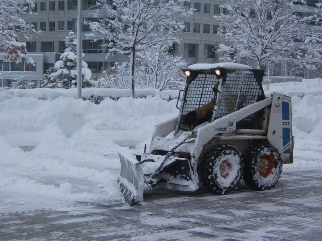 KD Landscaping and Snow Plowing — photo from the business 9