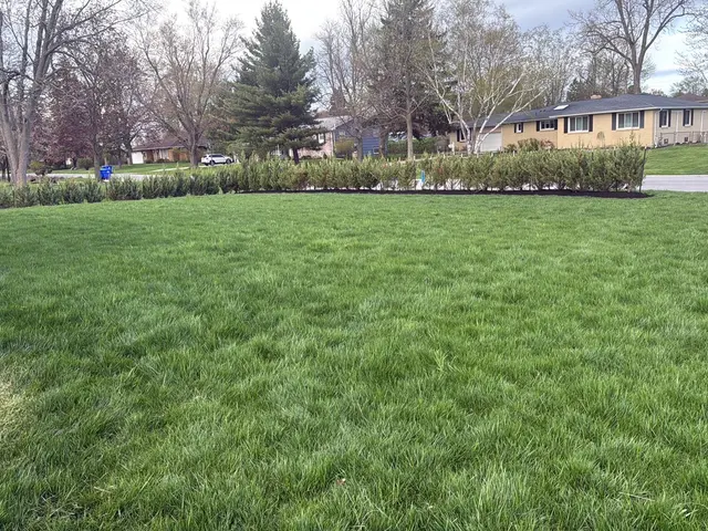 KD Landscaping and Snow Plowing — customer photo 5