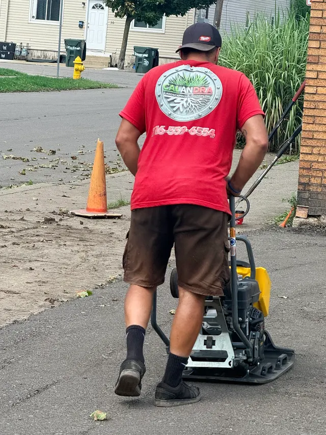Calandra Landscaping and Snowplow — photo from the business 1