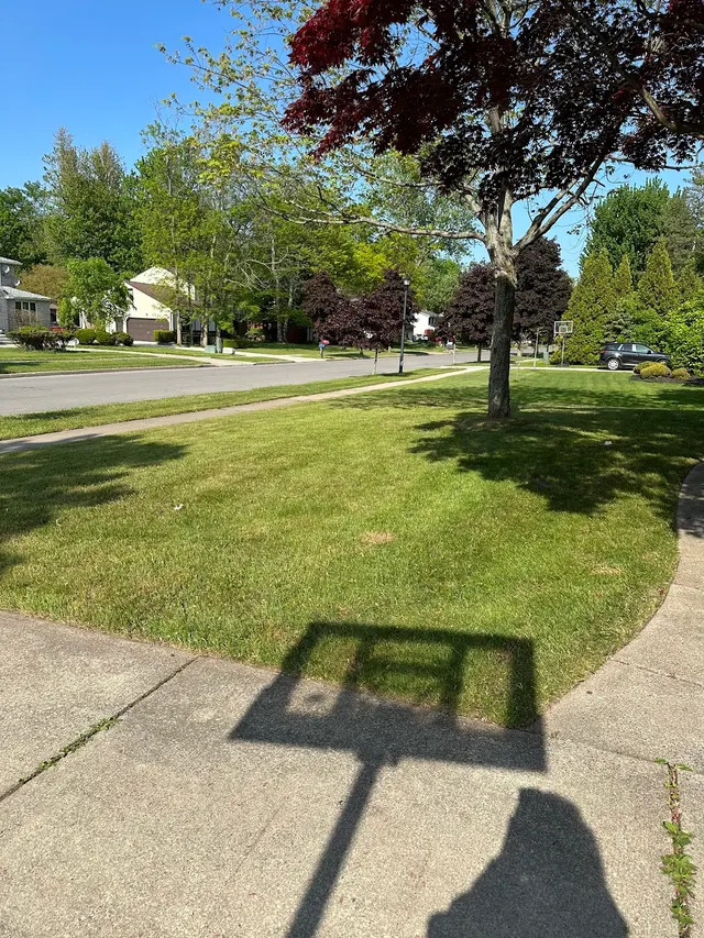 Calandra Landscaping and Snowplow — customer photo 8