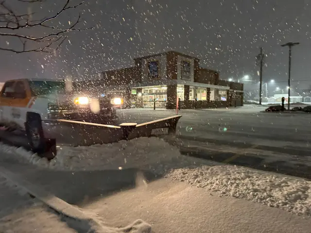 Amherst Landscaping — photo from the business 4