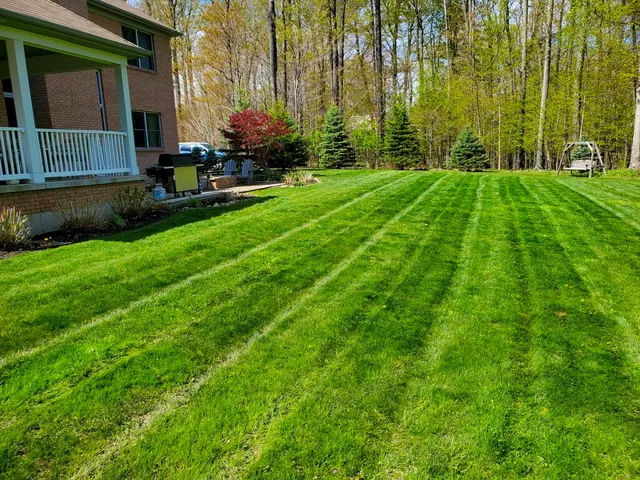 Beez Works LLC — customer photo 1