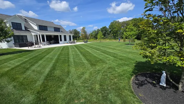Beez Works LLC — photo from the business 2