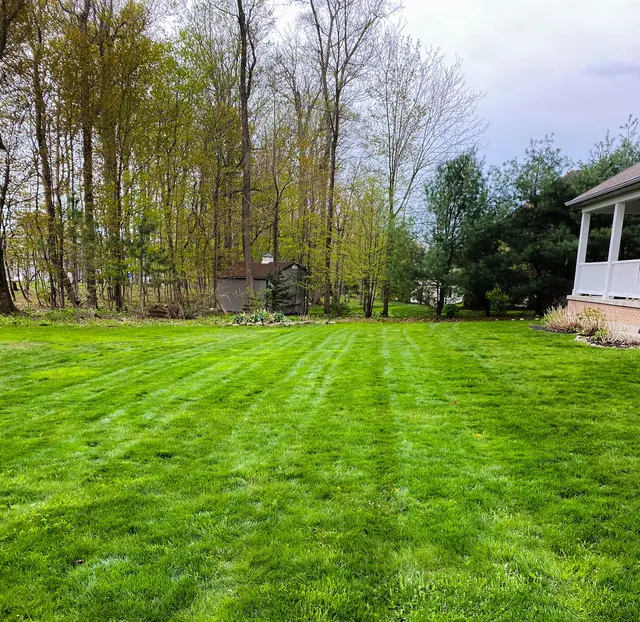 Beez Works LLC — customer photo 3