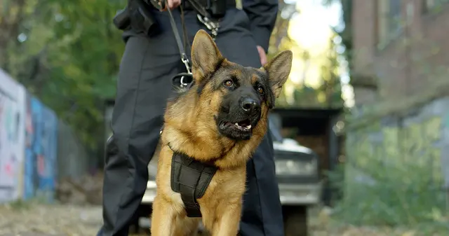 City Security Services — photo from the business 7