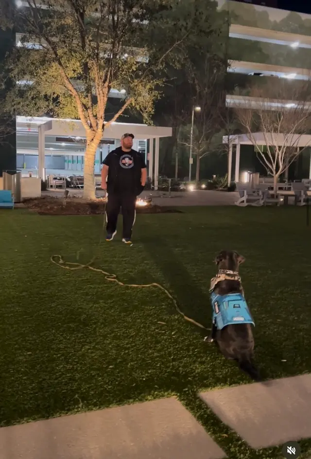 Carlisle K9 Dog Training — photo from the business 10