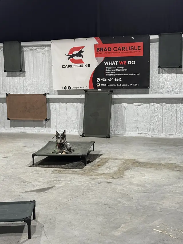 Carlisle K9 Dog Training — photo from the business 6