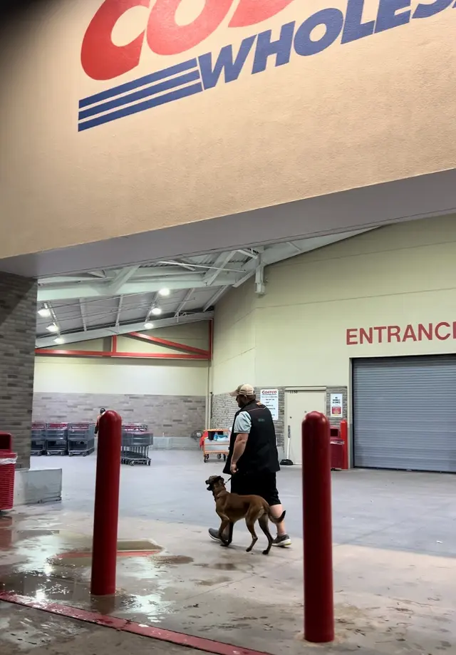 Carlisle K9 Dog Training — photo from the business 9