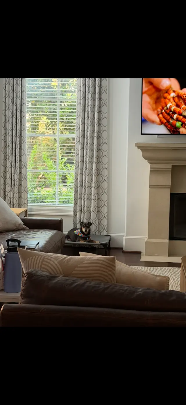 Customer photo of work by Triumph K9, from Madeline Marques's review