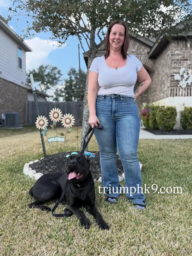 Triumph K9 — photo from the business 3