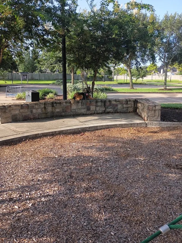 Customer photo of work by Triumph K9, from Monica Muller's review
