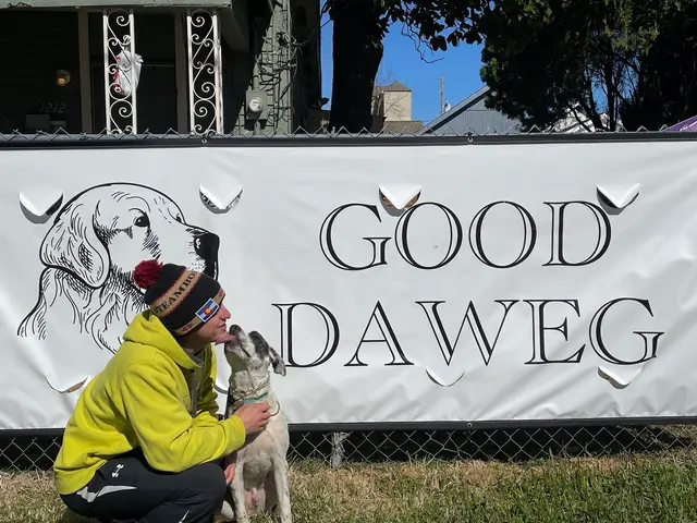 Good DaweG — photo from the business 3