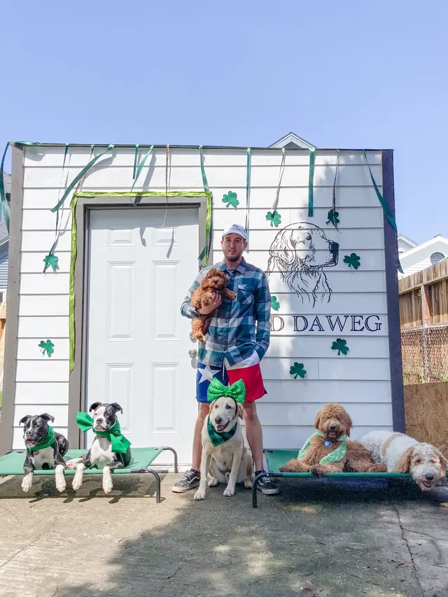 Good DaweG — photo from the business 9