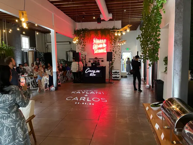 The Metric System Entertainment DJ | MC | Lighting | PhotoBooth — photo from the business 6
