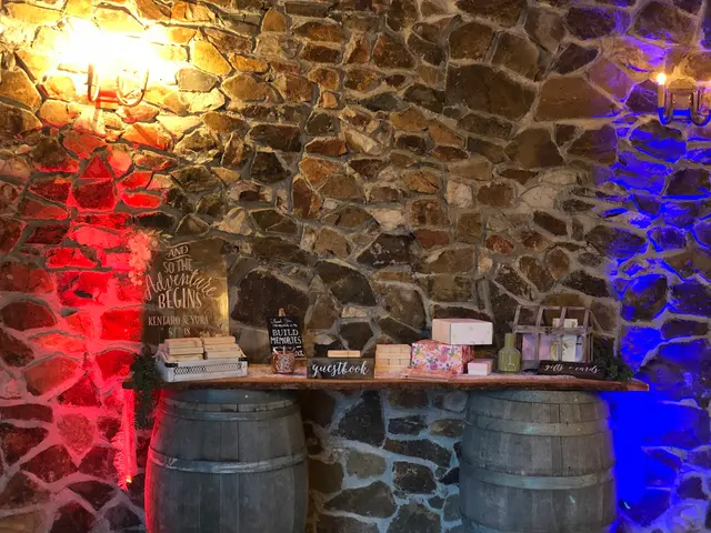 The Metric System Entertainment DJ | MC | Lighting | PhotoBooth — photo from the business 12