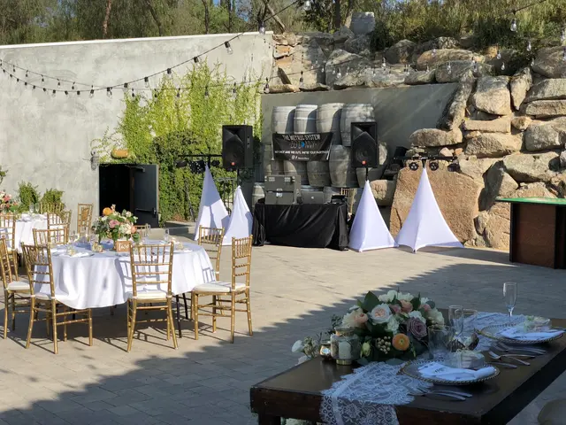The Metric System Entertainment DJ | MC | Lighting | PhotoBooth — photo from the business 8