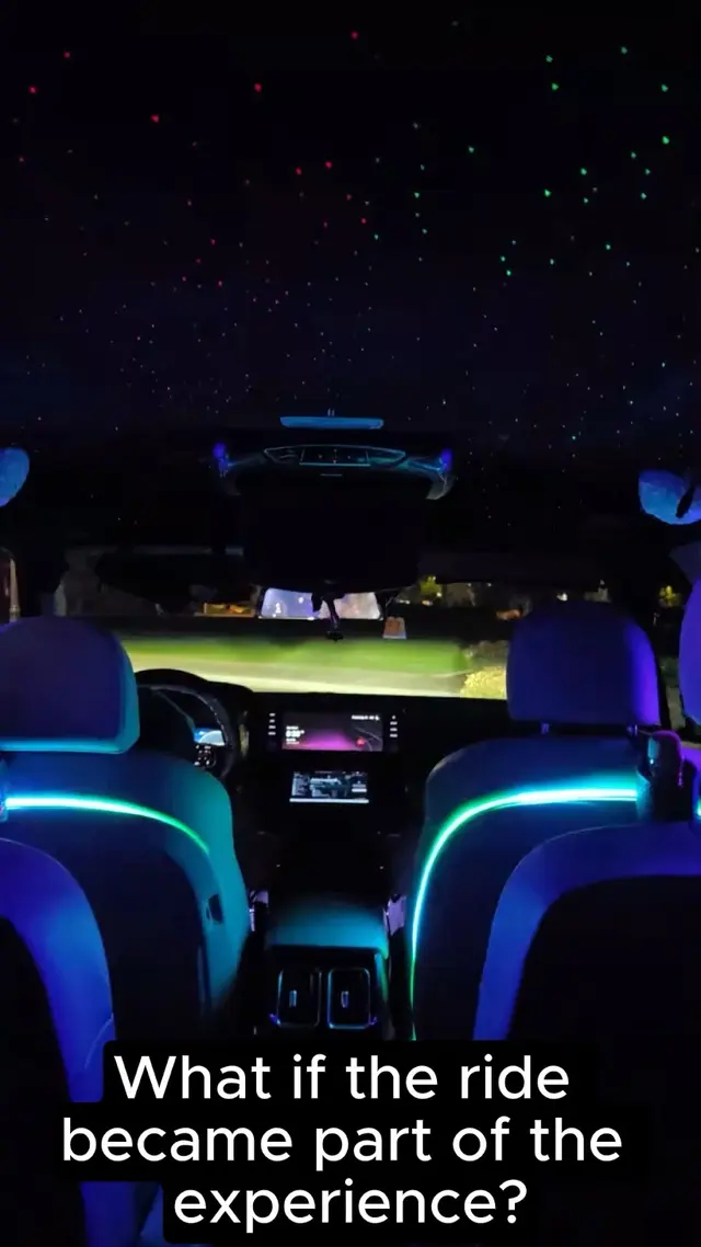 Let's Car'raoke — photo from the business 2