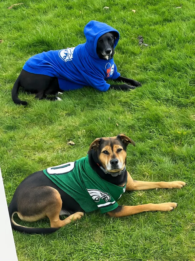 K9 Resorts Luxury Pet Hotel Cherry Hill — customer photo 12