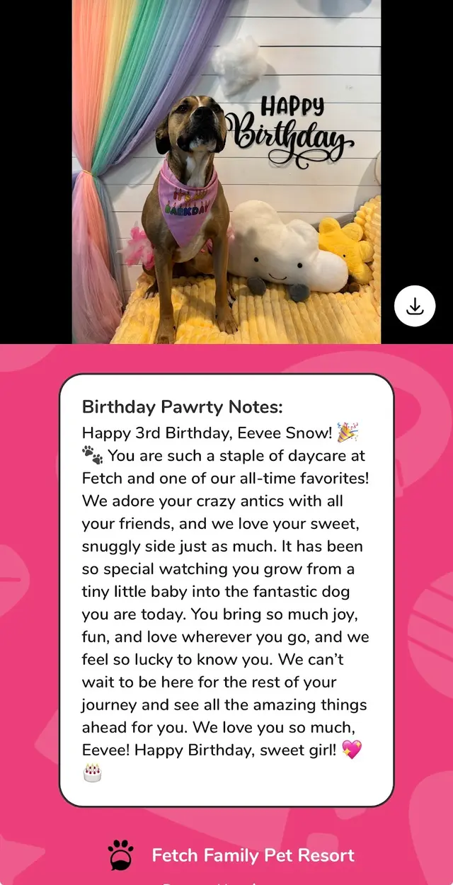 Fetch Family Pet Resort — customer photo 7