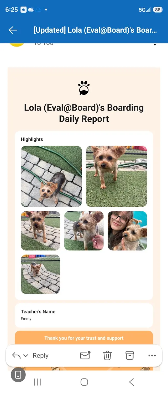 Fetch Family Pet Resort — customer photo 3