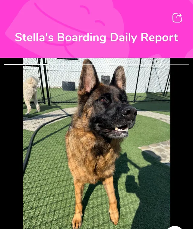 Fetch Family Pet Resort — customer photo 5