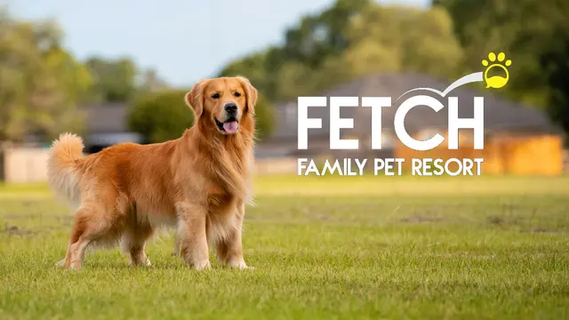 Fetch Family Pet Resort — photo from the business 1