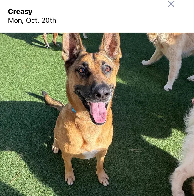 Customer photo from Creasy’s's review