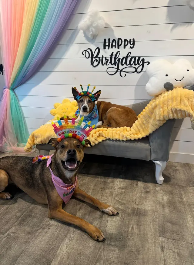 Customer photo from Beth's review