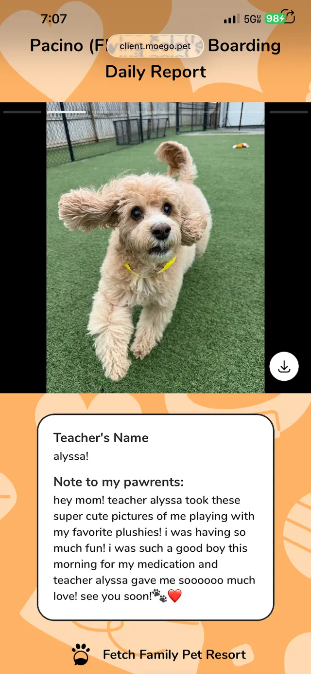 Fetch Family Pet Resort — customer photo 9