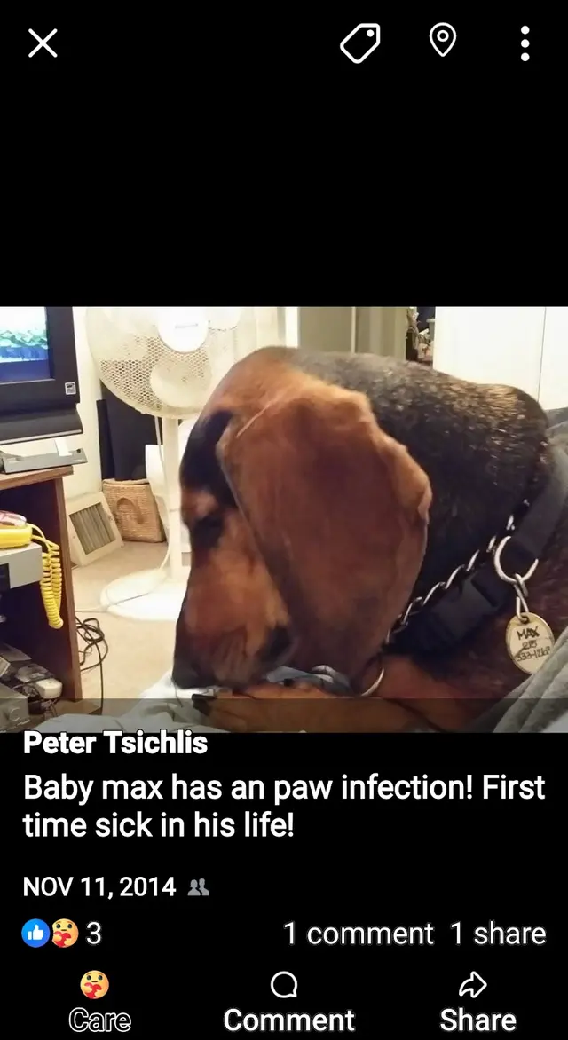 Customer photo from Peter's review