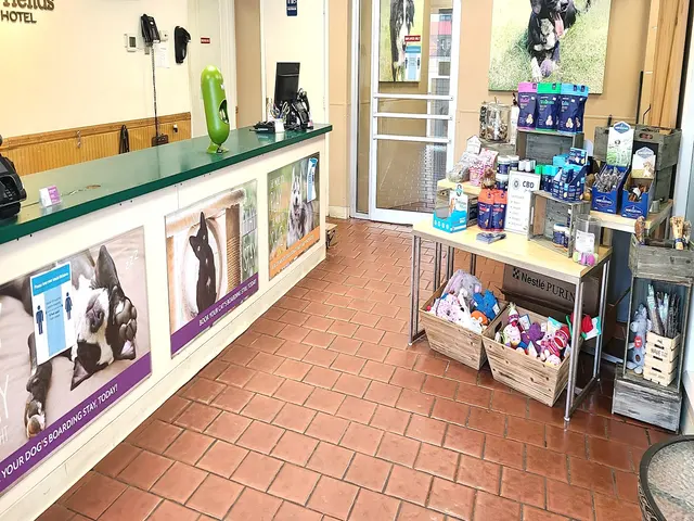 Best Friends Pet Hotel — photo from the business 10