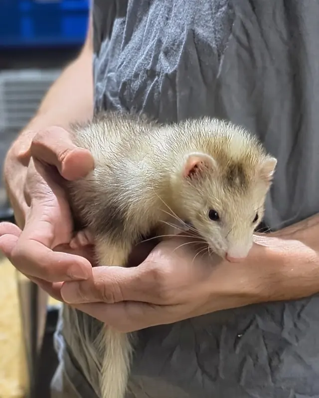 Garden State Pet Center — photo from the business 12