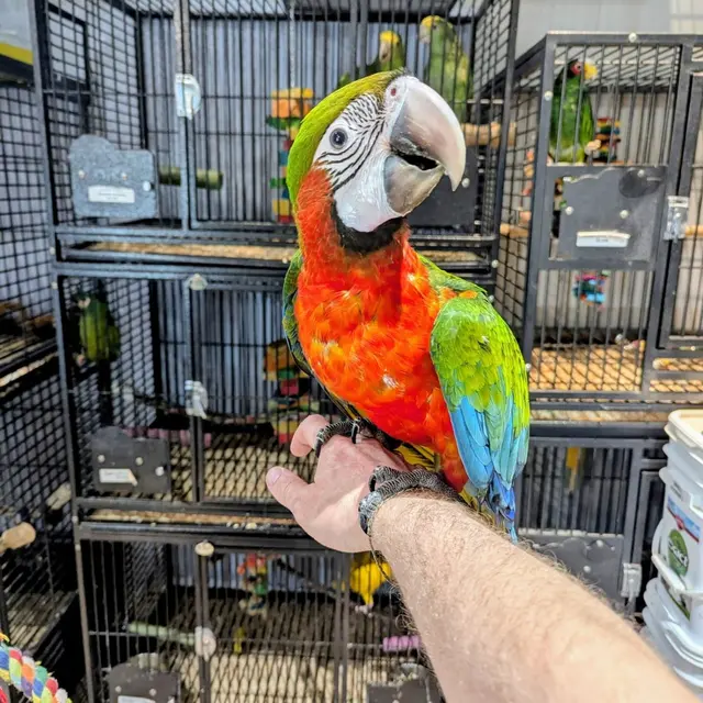 Garden State Pet Center — photo from the business 11