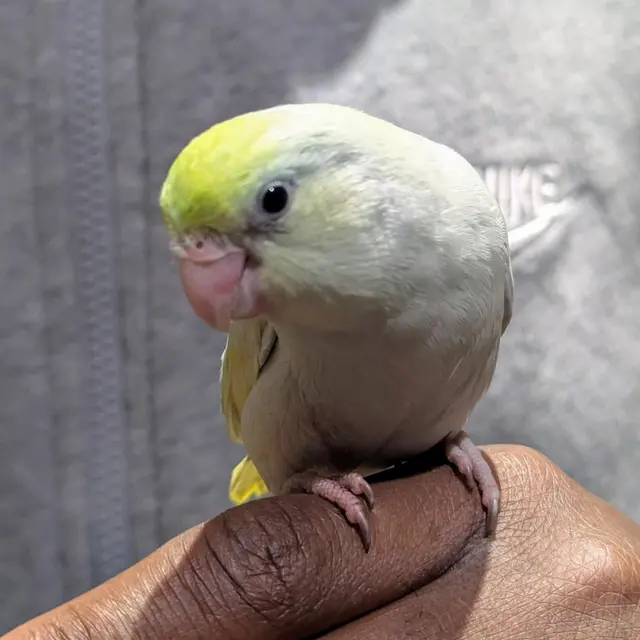 Garden State Pet Center — photo from the business 9