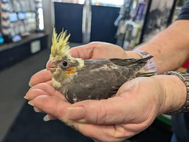 Garden State Pet Center — photo from the business 4