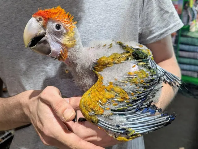 Garden State Pet Center — photo from the business 10