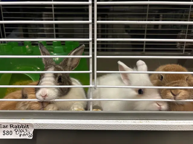 Customer photo of work by Garden State Pet Center, from Savannah Pease's review