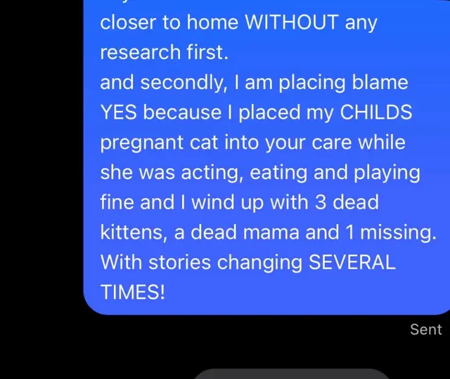 Customer photo of work by Animal Medical Clinic, from Shianne Paige's review