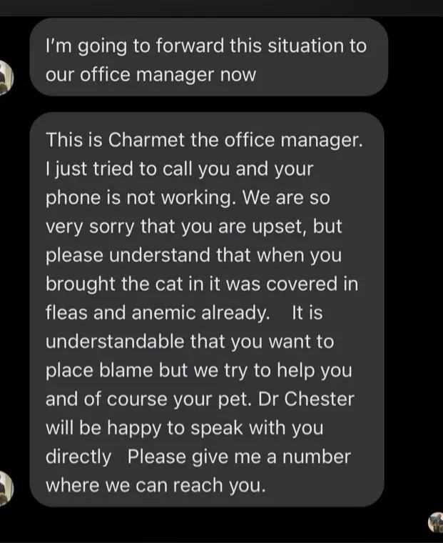Animal Medical Clinic — customer photo 12
