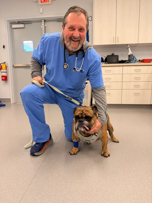 Wayside Animal Hospital @ Ellijay — customer photo 6
