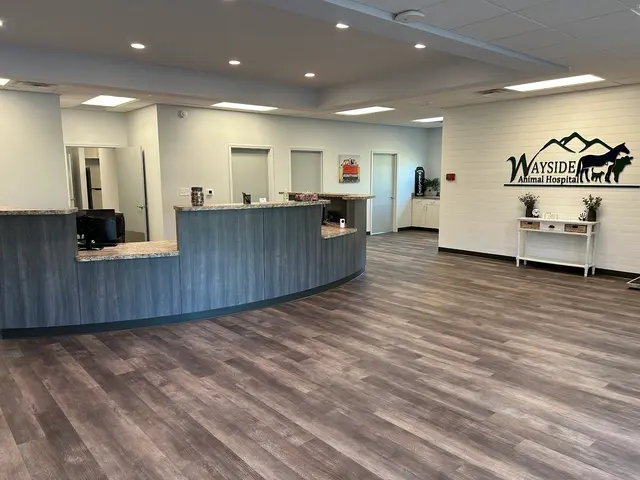 Wayside Animal Hospital @ Ellijay — photo from the business 4