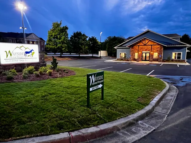 Wayside Animal Hospital @ Ellijay — photo from the business 1