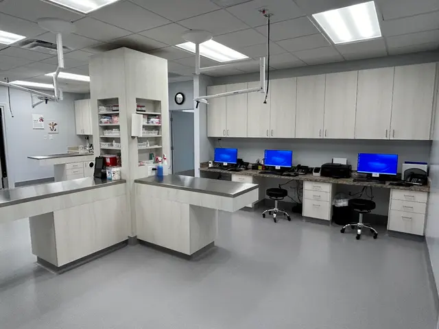 Wayside Animal Hospital @ Ellijay — photo from the business 5