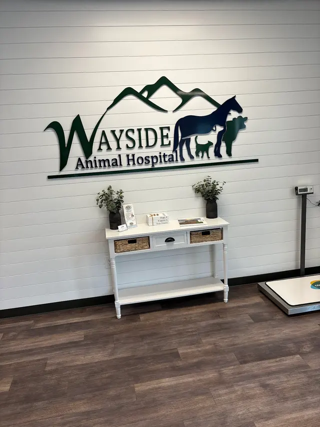 Wayside Animal Hospital @ Ellijay — customer photo 9