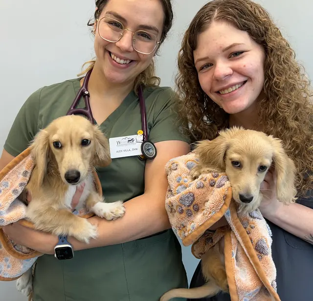 Wayside Animal Hospital @ Ellijay — customer photo 8