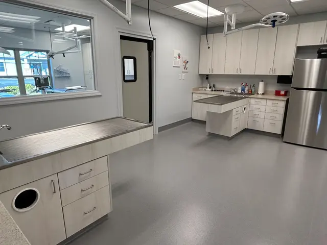 Wayside Animal Hospital @ Ellijay — photo from the business 2