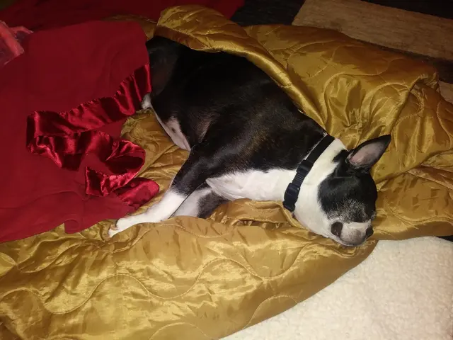 Ellijay Animal Hospital — customer photo 11