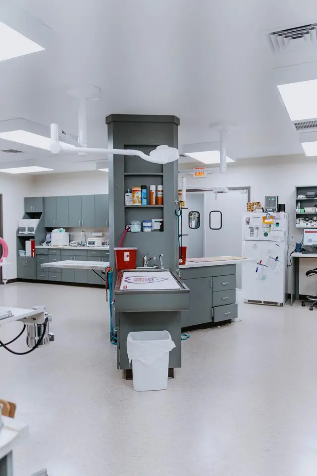 Cohutta Animal Clinic — photo from the business 7