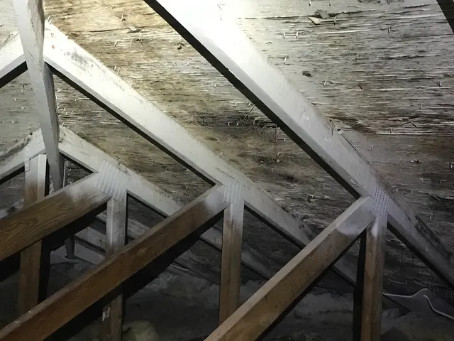 Basement to Roof Home Inspections — photo from the business 3
